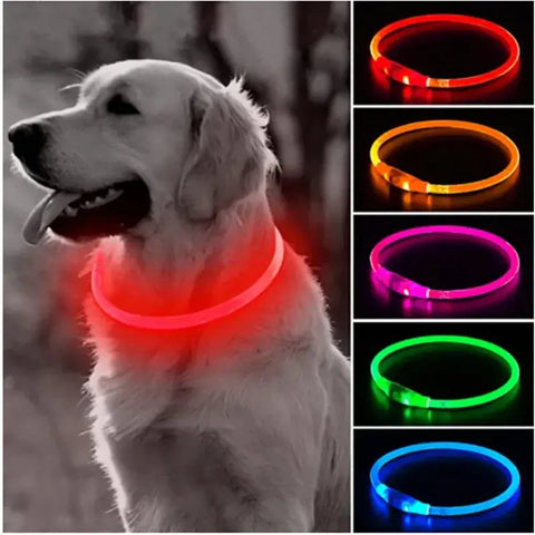Safety Flashing Glow Dog Collar Frugal Finds Galore