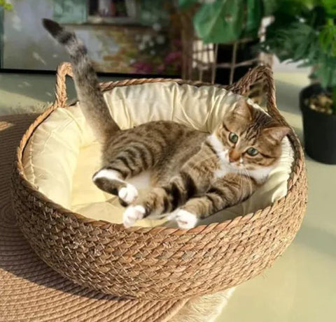 Handmade Pet House Frugal Finds Galore