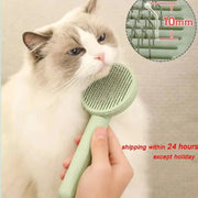 Pet Hair Removal Brush w/Button Cleaner Frugal Finds Galore