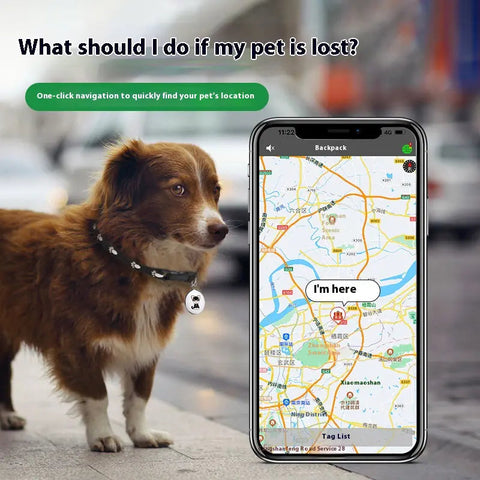 Pet GPS Tracker Frugal Finds Galore