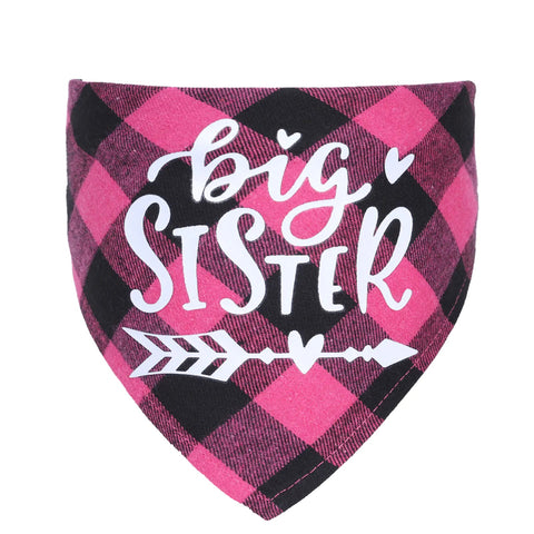 New Pet Triangle Scarf for Pregnancy Announcement Frugal Finds Galore