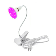 Beauty Light for Face Whitening and Spot Treatment Frugal Finds Galore
