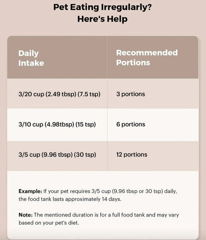 Smart Automatic Pet Feeder Frugal Finds Galore