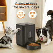 Smart Pet Feeder Frugal Finds Galore