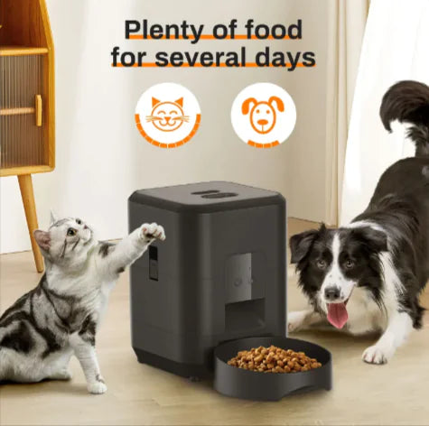 Smart Pet Feeder Frugal Finds Galore