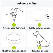 Safety Flashing Glow Dog Collar Frugal Finds Galore