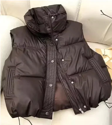 Winter Puffer Vest