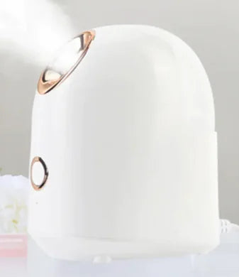 Glow Mist Beauty Steamer Frugal Finds Galore