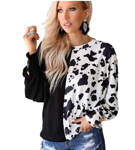 Cows Pattern Women's Waffle Knit Sweater Frugal Finds Galore