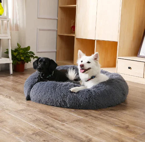 Fluffy Donut Pet Bed Frugal Finds Galore