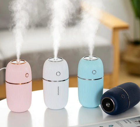 Car and Desk Humidifier for Hydration Frugal Finds Galore