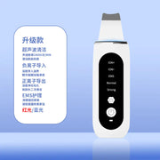 Ultrasonic Skin Scrubber for Pore Cleansing and Beauty Frugal Finds Galore