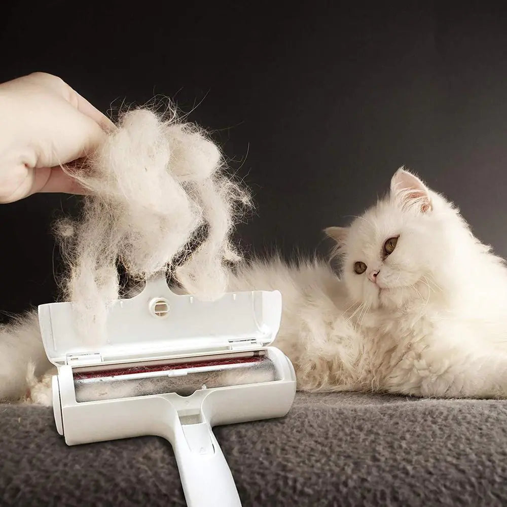 Sofa Sticky Hair Pet Brush