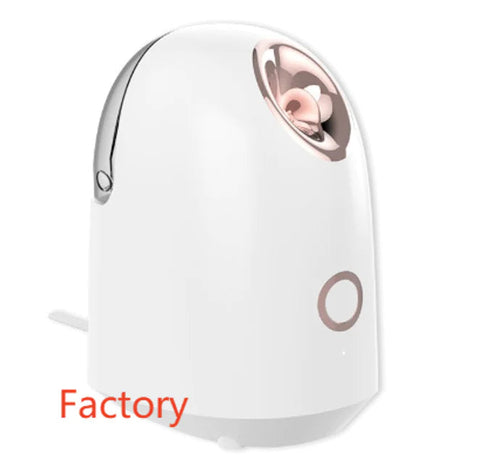 Glow Mist Beauty Steamer Frugal Finds Galore
