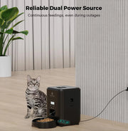 Smart Automatic Pet Feeder Frugal Finds Galore