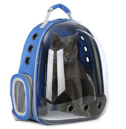 Pet Bag Frugal Finds Galore