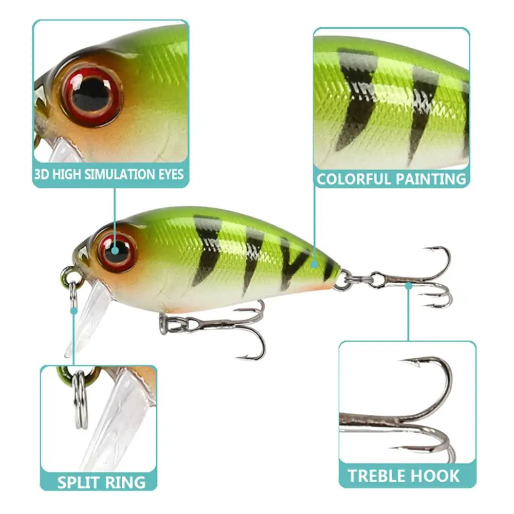 Fishing Lure