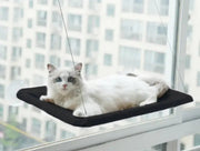 Pet Window Hammock Frugal Finds Galore
