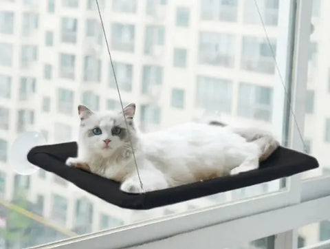 Pet Window Hammock Frugal Finds Galore