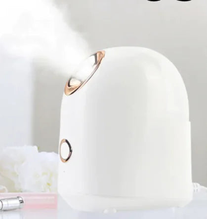 Glow Mist Beauty Steamer Frugal Finds Galore