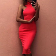 Fitted Neck Dress Frugal Finds Galore