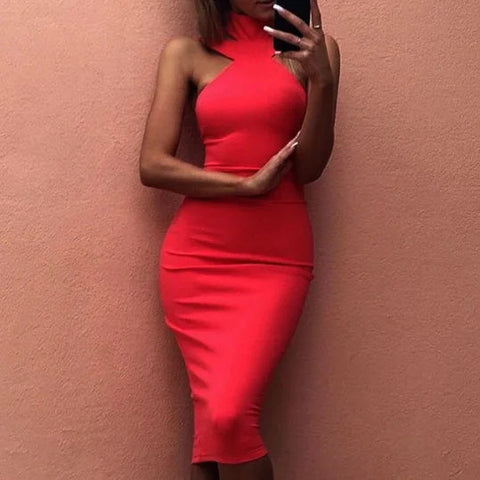 Fitted Neck Dress Frugal Finds Galore