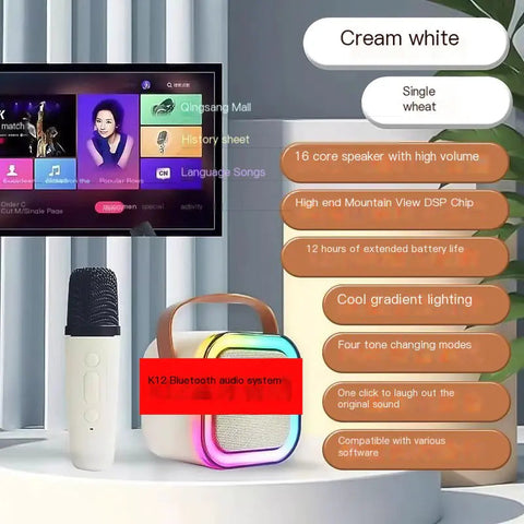 Bluetooth Portable Wireless Karaoke Speaker System Frugal Finds Galore