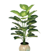 Back Of Turtle Artificial Plant Frugal Finds Galore