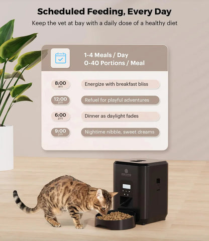 Smart Automatic Pet Feeder Frugal Finds Galore