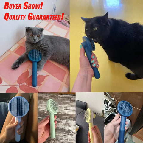 Pet Hair Removal Brush w/Button Cleaner Frugal Finds Galore