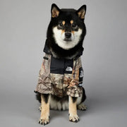 The Modern Paws Dog Coat Frugal Finds Galore