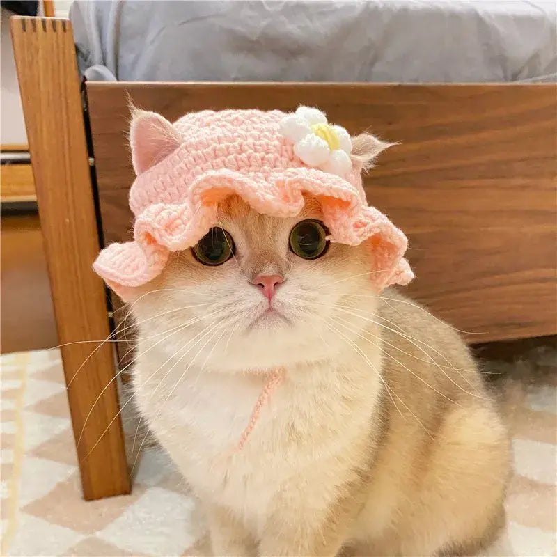 Cute Knit Pet Hat