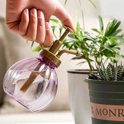Plant Flower Watering Spray Bottle for Succulents Frugal Finds Galore