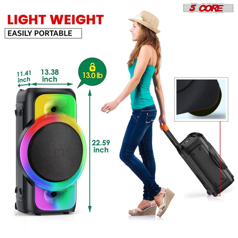 5Core Bluetooth Karaoke Machine + 2 Wireless Mic Frugal Finds Galore